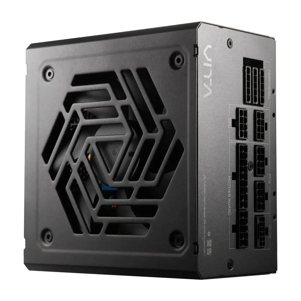 FSP VITA 850GM 850W 80 Plus Gold Fully Modular Power Supply ATX 3.1